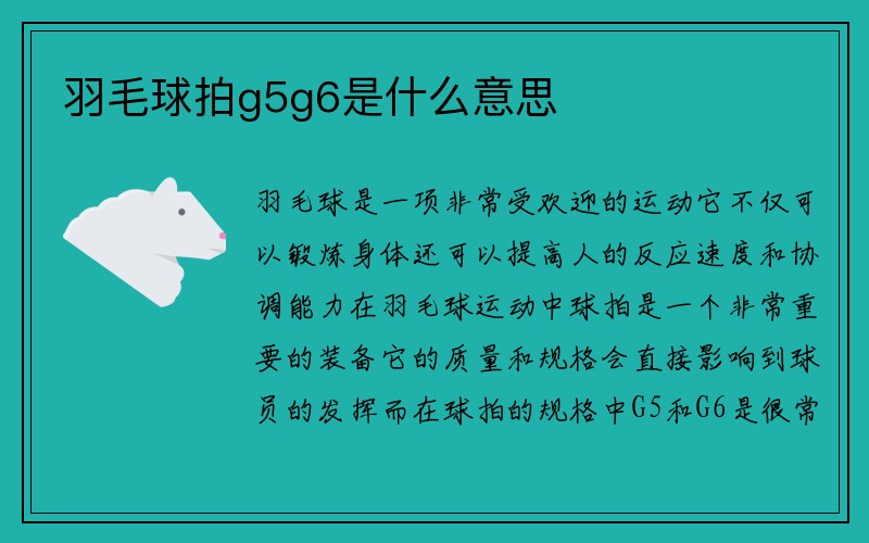 羽毛球拍g5g6是什么意思