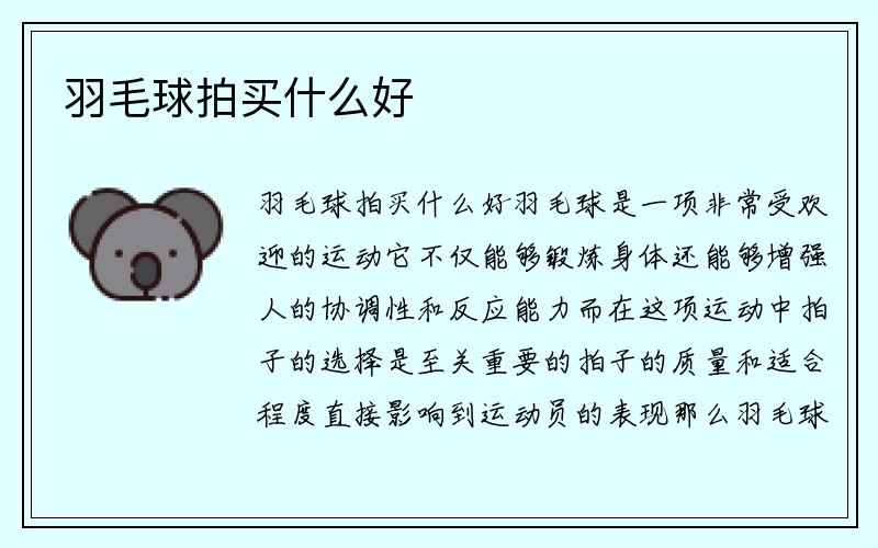 羽毛球拍买什么好