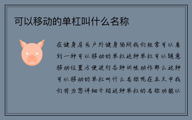 可以移动的单杠叫什么名称